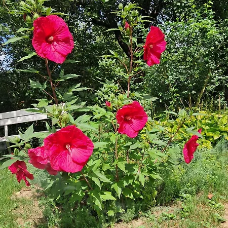 Nad Bobrem 农家乐 Pilchowice