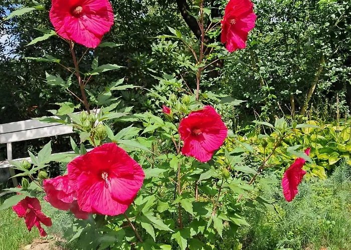 Nad Bobrem Alloggio per agriturismo Pilchowice