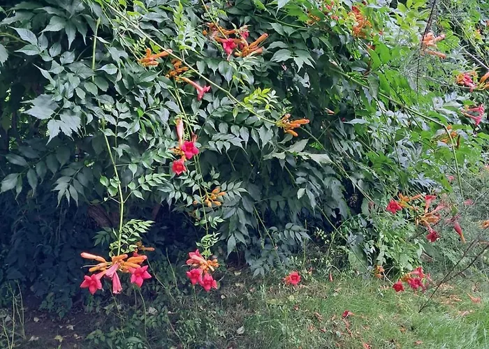 Nad Bobrem * Pilchowice